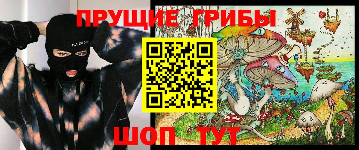 Северск  Галлюциногенные грибы Magic Shrooms  Вход с VPN 